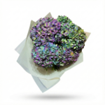 Ortanca Vip Hollanda Buketi